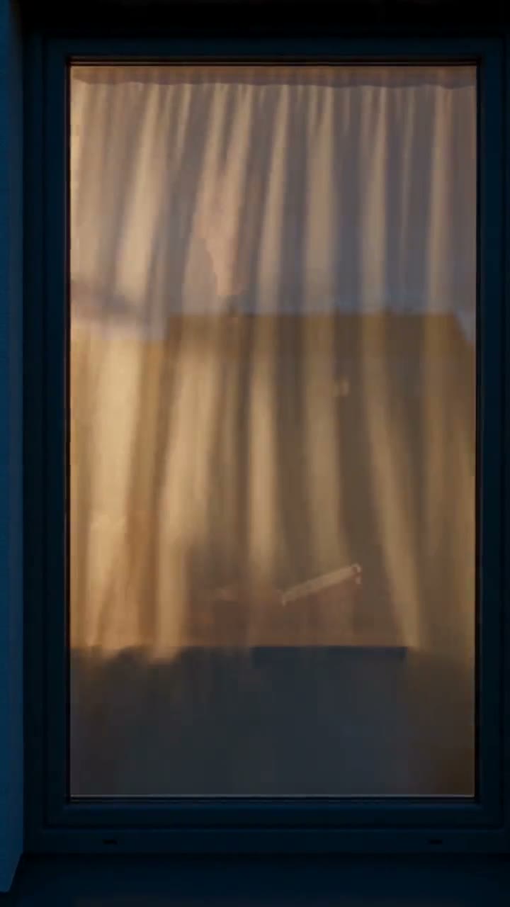 Referencia de Window Peeper: hamburguesa, mirada y cortina